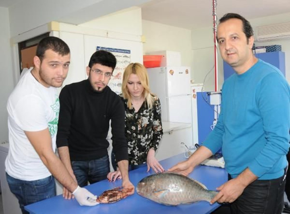 Akdeniz'de tehlike - 1