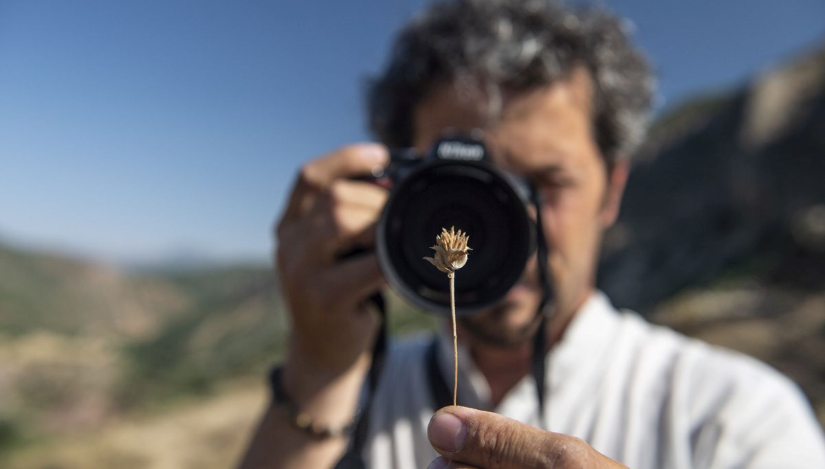 Doğasever akademisyen Metin Armağan
Tunceli dağlarında endemik bitkilerin izini sürüyor