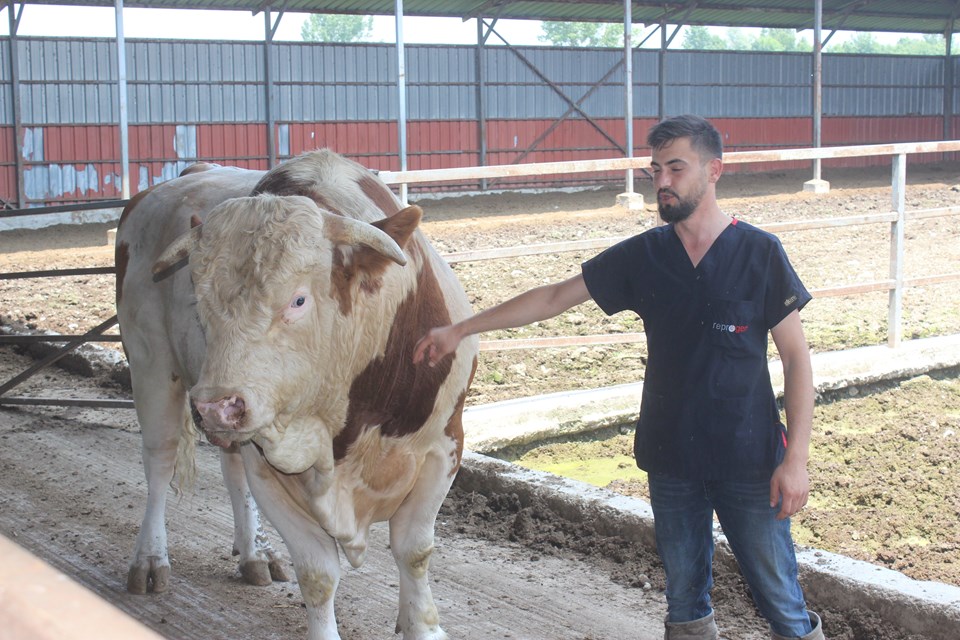 1.4 ton ağırlığında, ikinci el otomobil fiyatına alıcısını bekliyor - 1