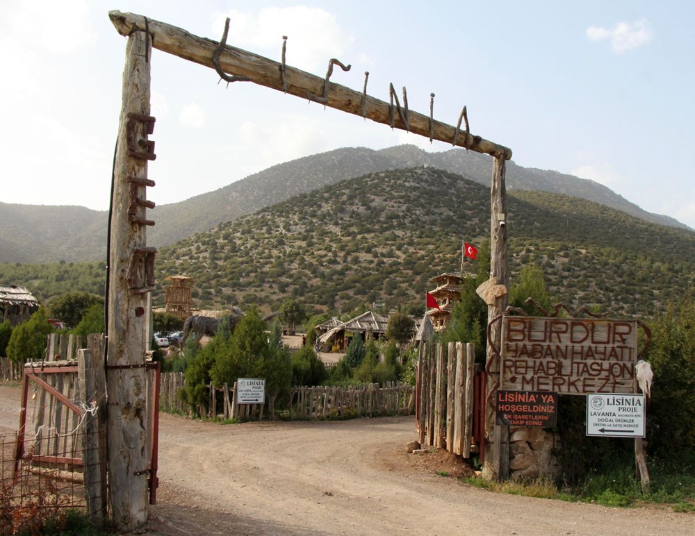 Burdur Gölü manzaralı 'mor şölen' ilgi görüyor - 1