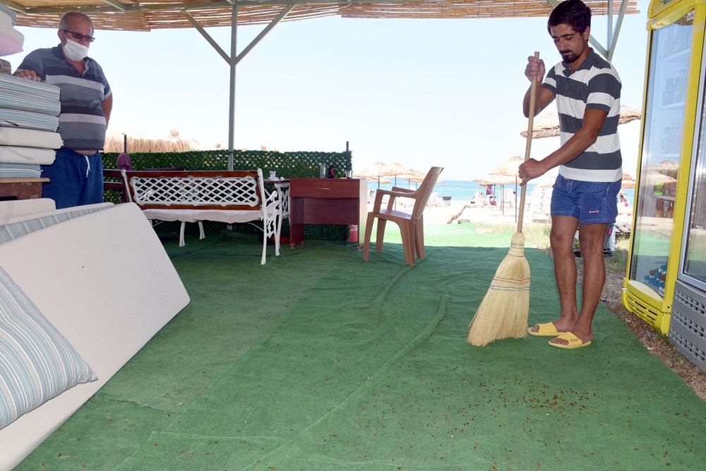 Saros Körfezi'nde uğur böceği istilası - 7