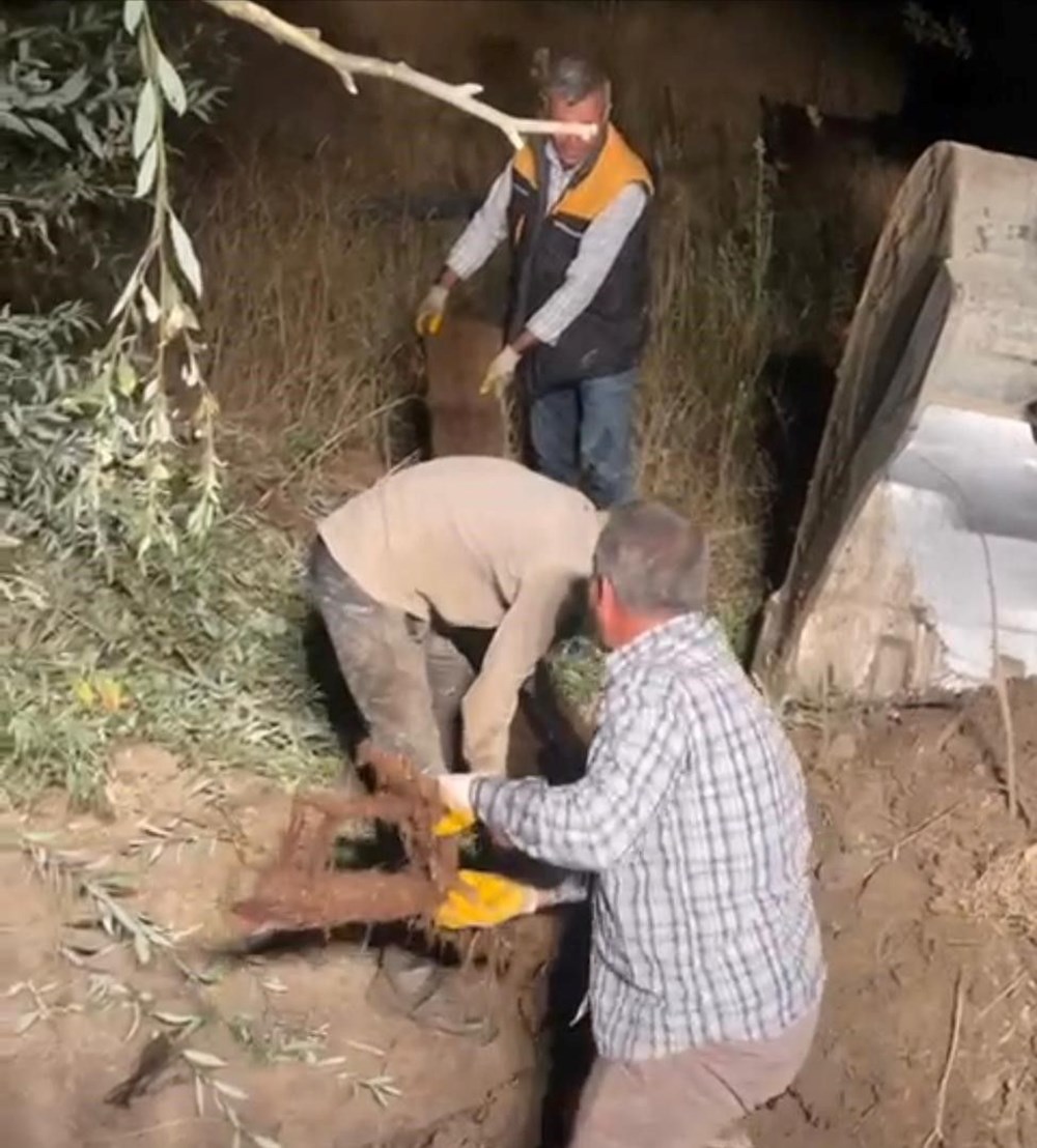 Su borusundan 15 metre ağaç kökü çıktı - 7