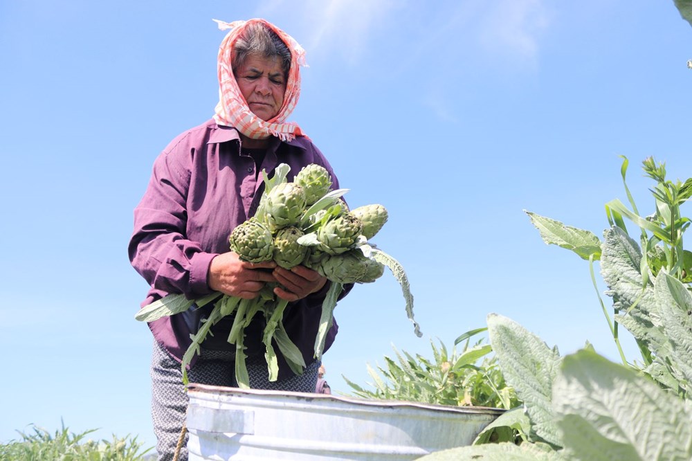 Av1Lwpj EG5GHqdXWVJ3g