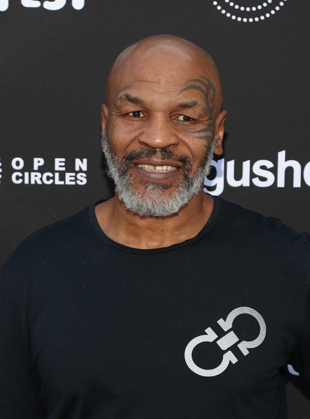 Mike Tyson'dan Demir Mike için boykot çağrısı - 5