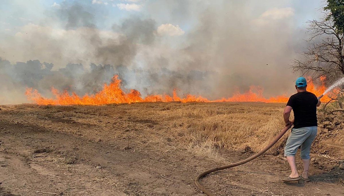 Edirne'de buğday tarlasında yangın! Alevler ağaçlara sıçradı, ekiplerin çalışması sürüyor