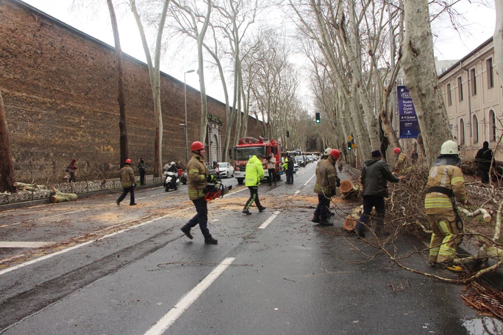 Beşiktaş'ta fırtına nedeniyle asırlık çınar ağacı devrildi - 7