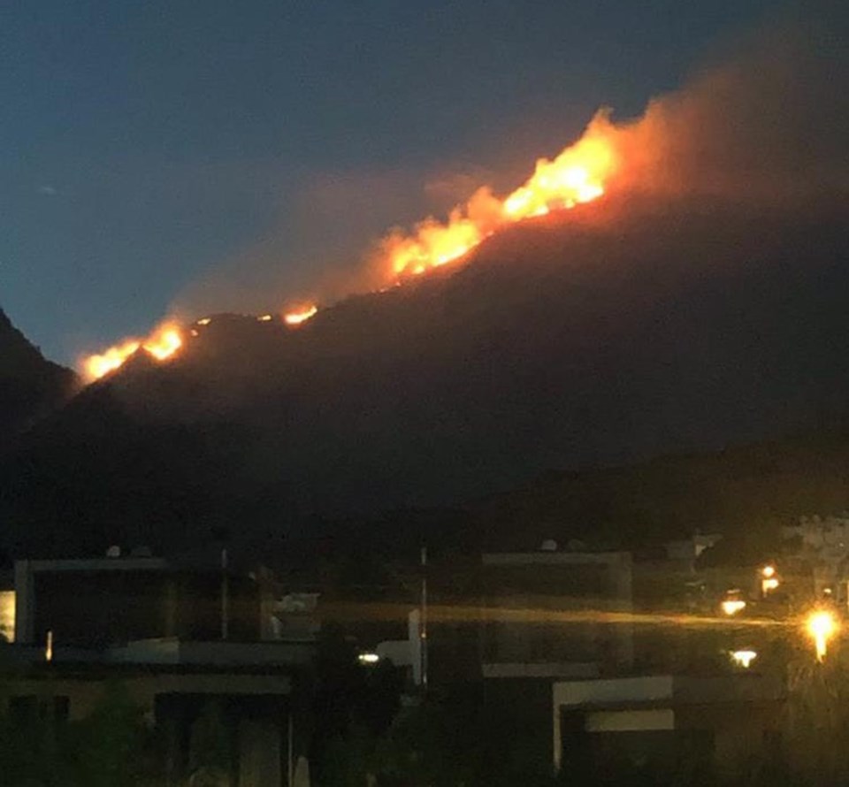 Bodrum'da otluk ve makilik alanda yangın - 2