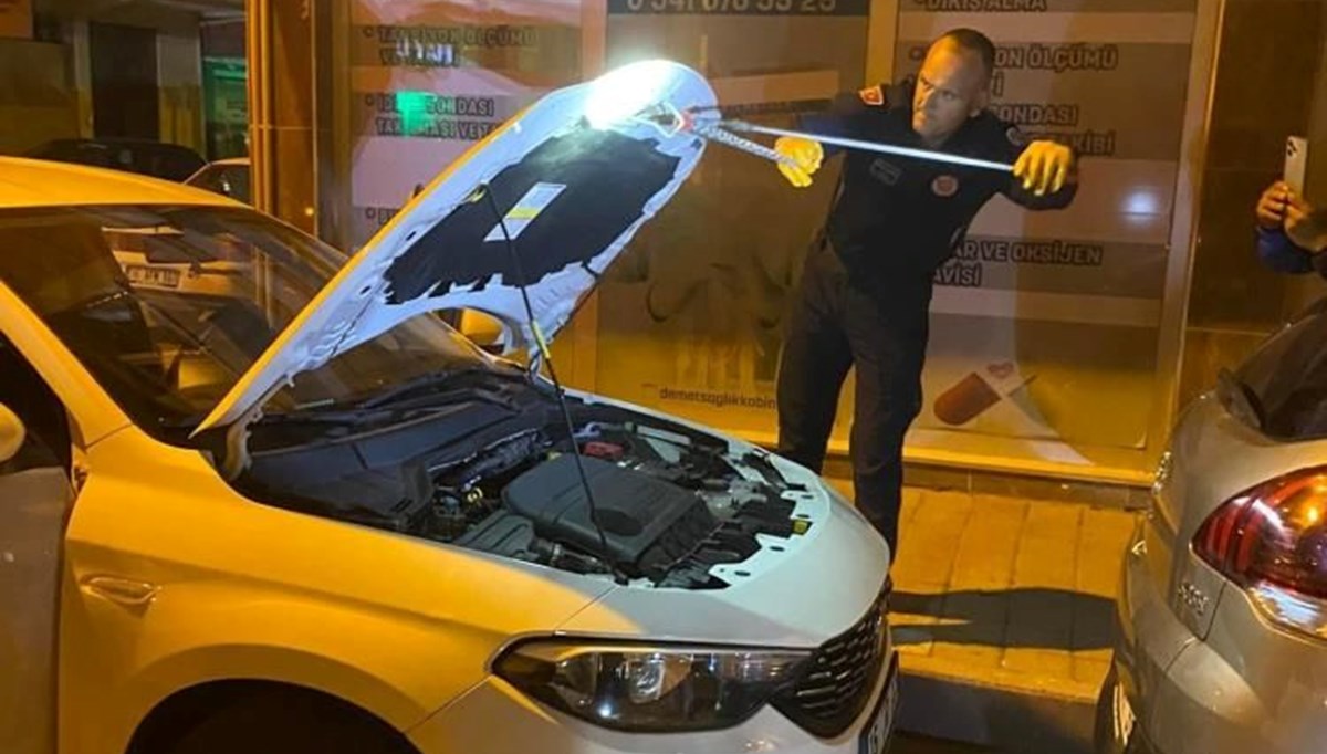 Seyir halindeki aracın kaputundan yılan çıktı Seyir halindeki aracın kaputundan yılan çıktı