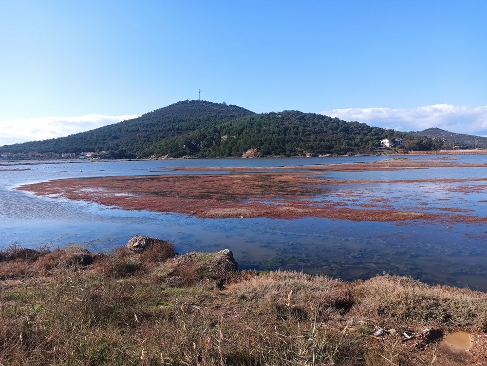 İda Madra Jeoparkı UNESCO yolunda - 4