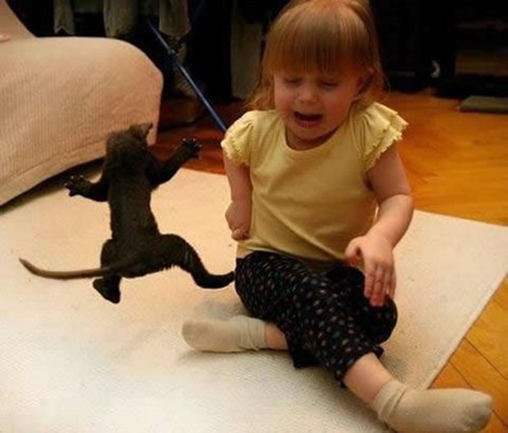 Таня и кот мурзик. Кошка для детей. Дети мучают котов. Дети и коты. Кот боится детей.