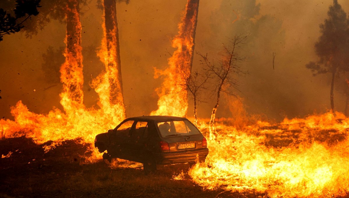 Portekiz'de ormanlar yanıyor