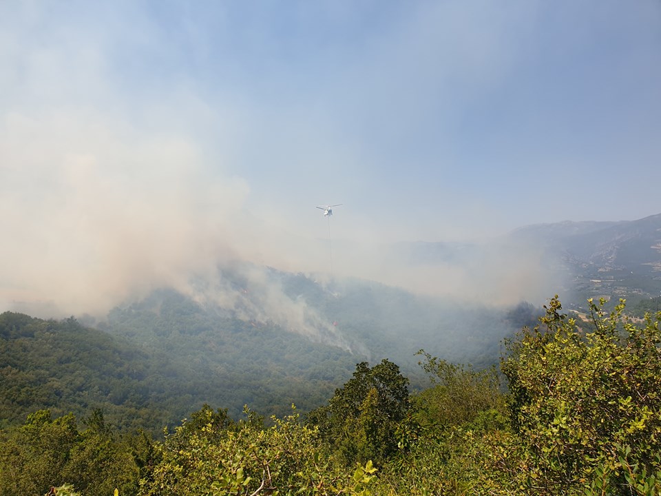 Gökçeada, Osmaniye ve Kahramanmaraş'ta orman yangını - 1