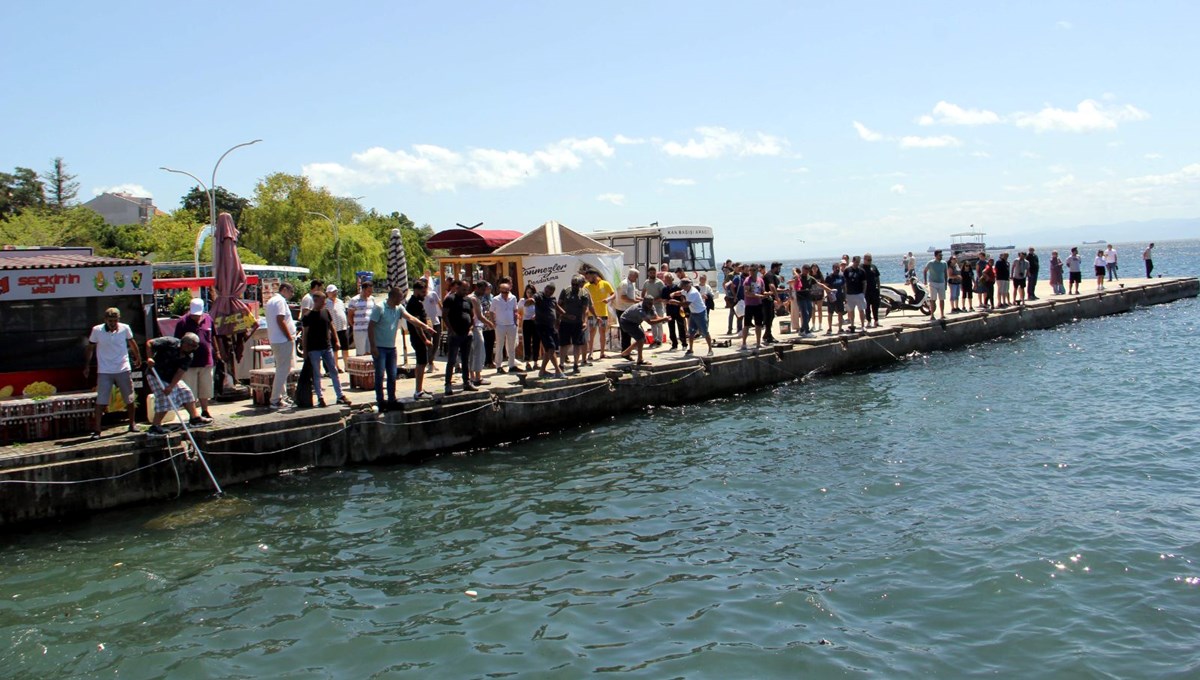 Denizden elleriyle balık topladılar | Ani soğuma şoka soktu