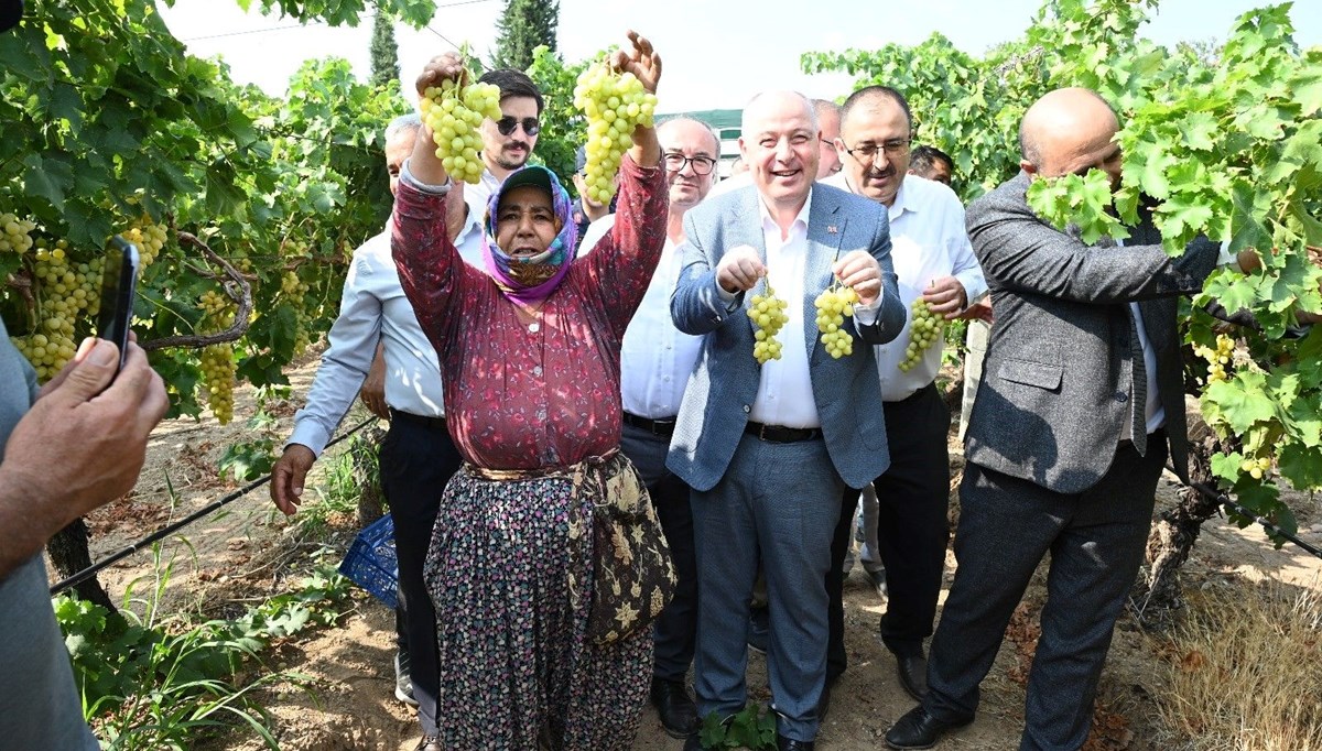 Denizli'de üzüm hasadı başladı Denizli'de üzüm hasadı başladı