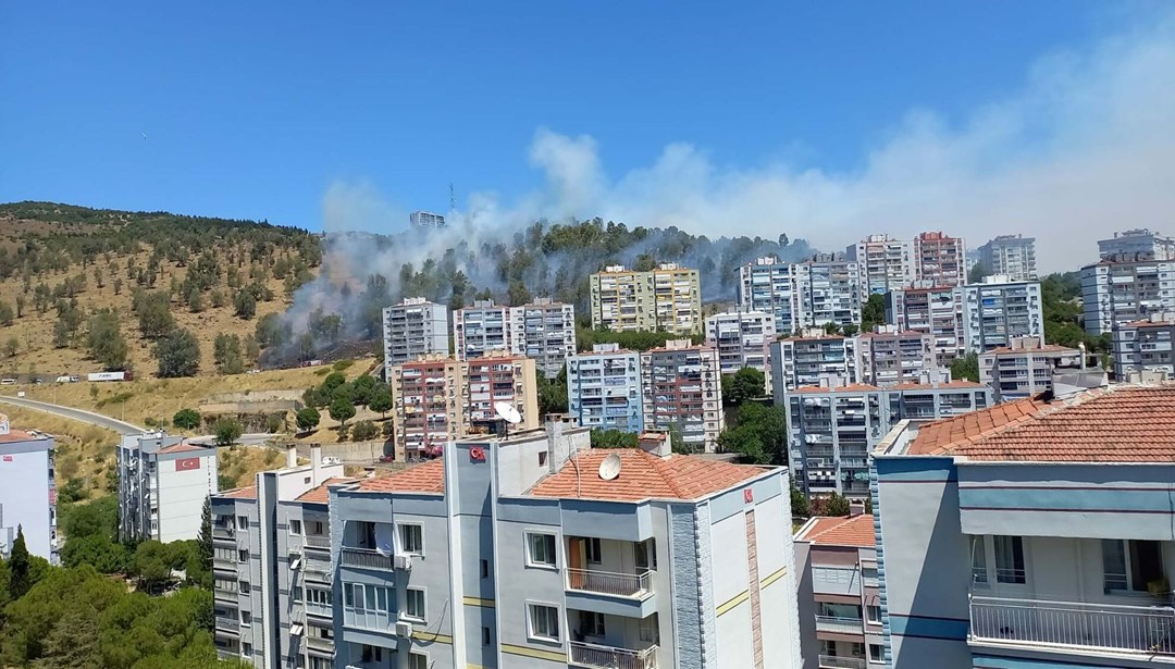 İzmir'de orman yangını: Havadan ve karadan müdahale ediliyor