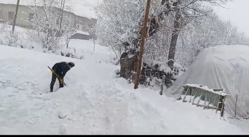 Van'da Kar Yağışı Hayatı Olumsuz Etkiledi