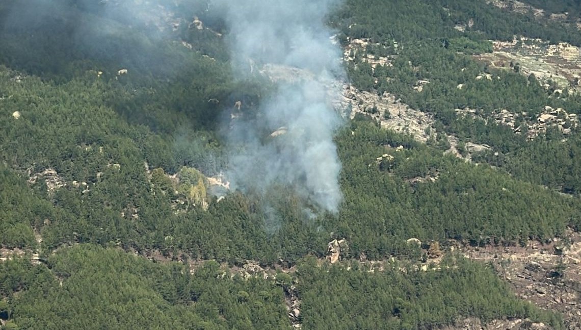 Muğla'da ormanlık alanda yangın