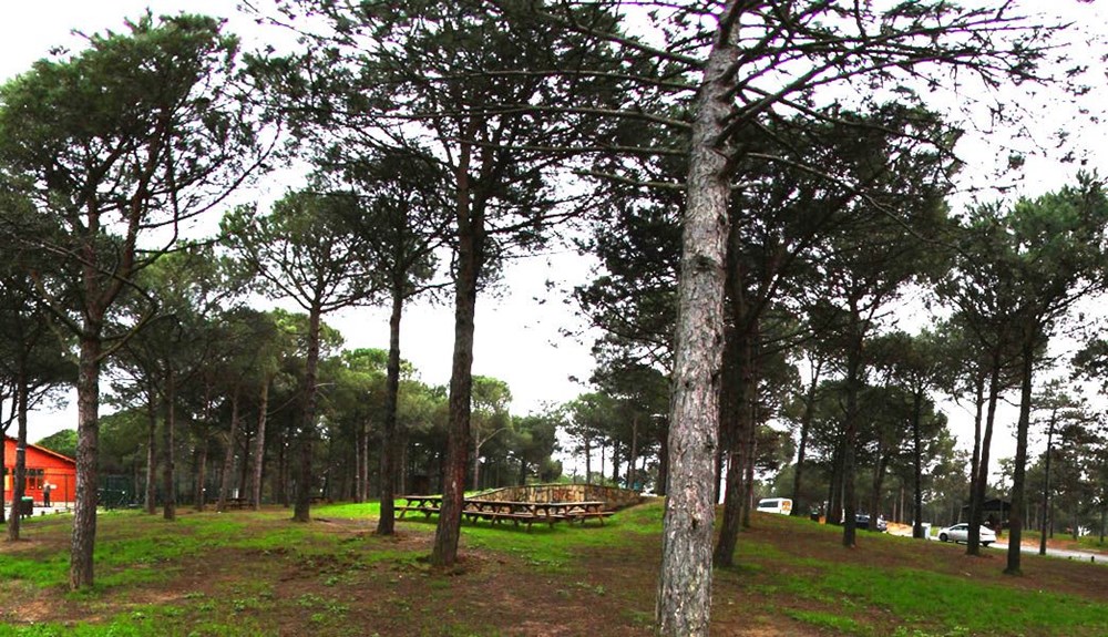 İstanbul'un Tabiat Parkları (İstanbul'daki tabiat parklarının listesi ve isimleri) - 25 İstanbul'un Tabiat Parkları (İstanbul'daki tabiat parklarının listesi ve isimleri) - 25