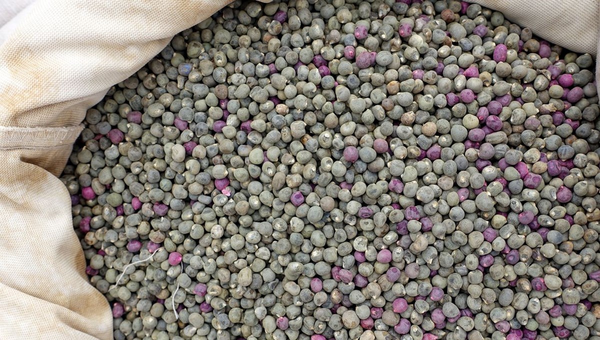 Doğanın en güçlü demir kaynağı oymuş: Yüksek oranda demir minerali içeriyor, organları güçlendiriyor Doğanın en güçlü demir kaynağı oymuş: Yüksek oranda demir minerali içeriyor, organları güçlendiriyor