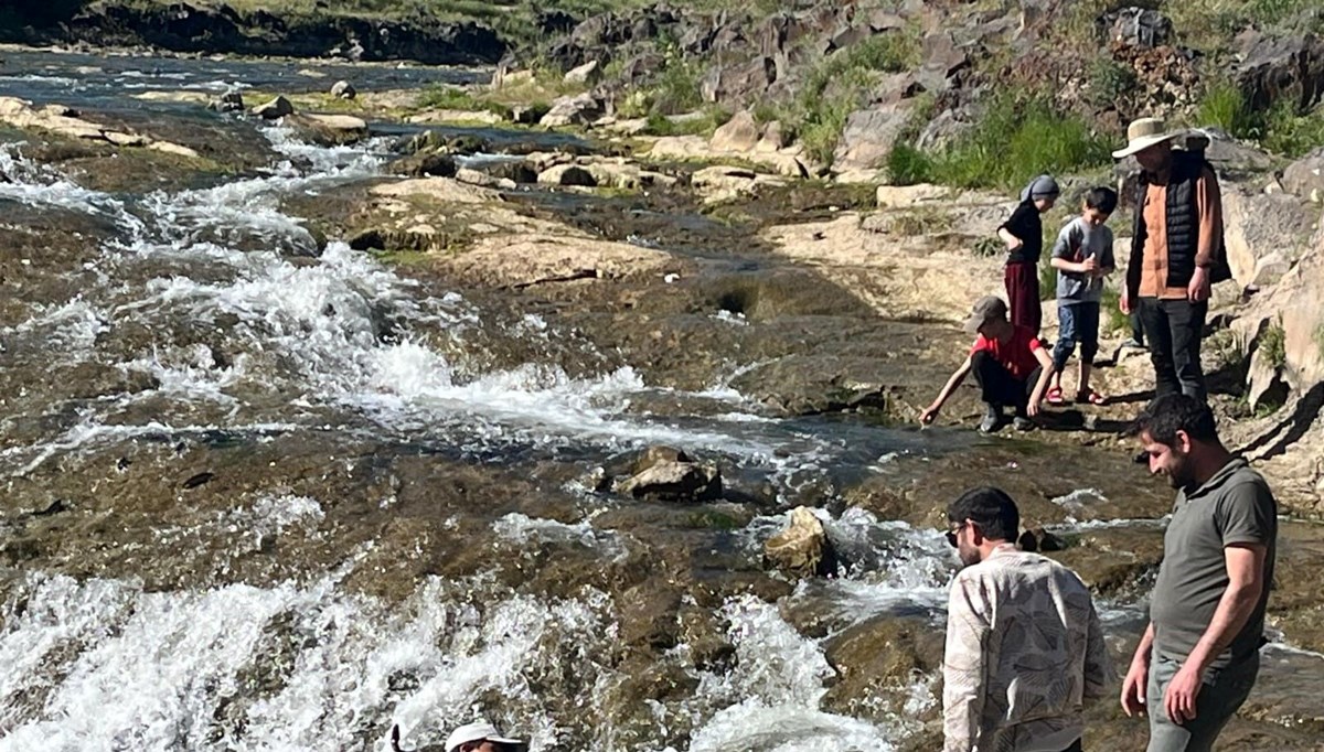 İnci kefalinin göçü turistlerin ilgi odağı oldu