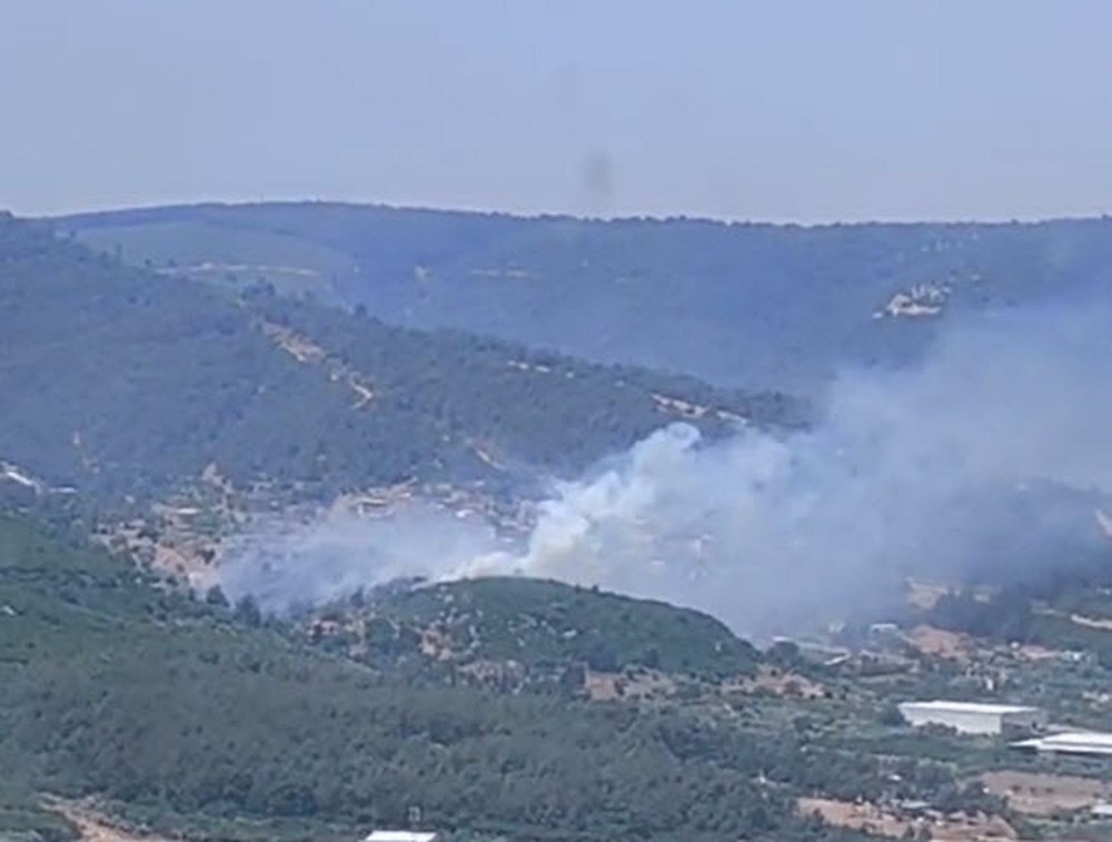 İzmir'de orman yangını - 1