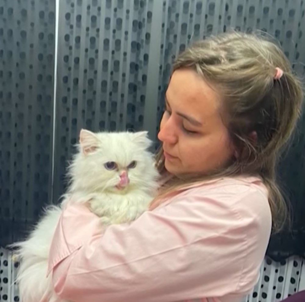 Ölen eşinin kayıp öyküsünün peşinde - 8