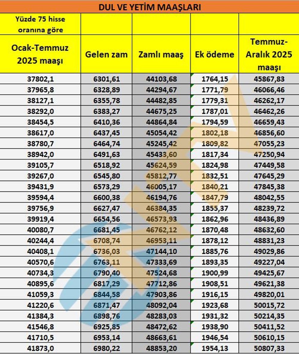 Son dakika... Dul ve yetim aylıkları belli oldu - 15