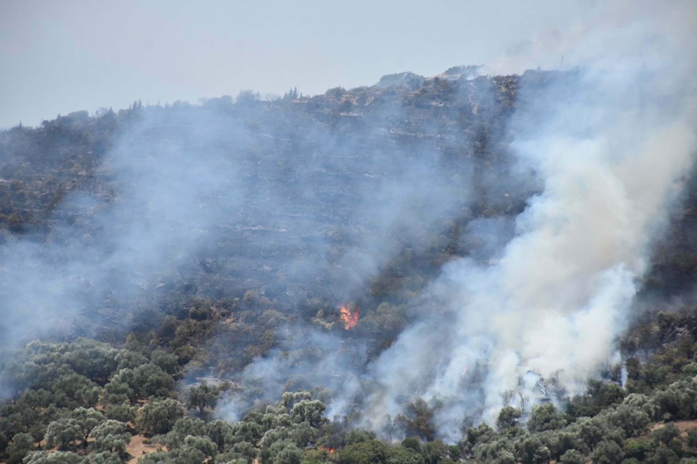 İzmir'de orman yangınları kontrol altına alındı - 5