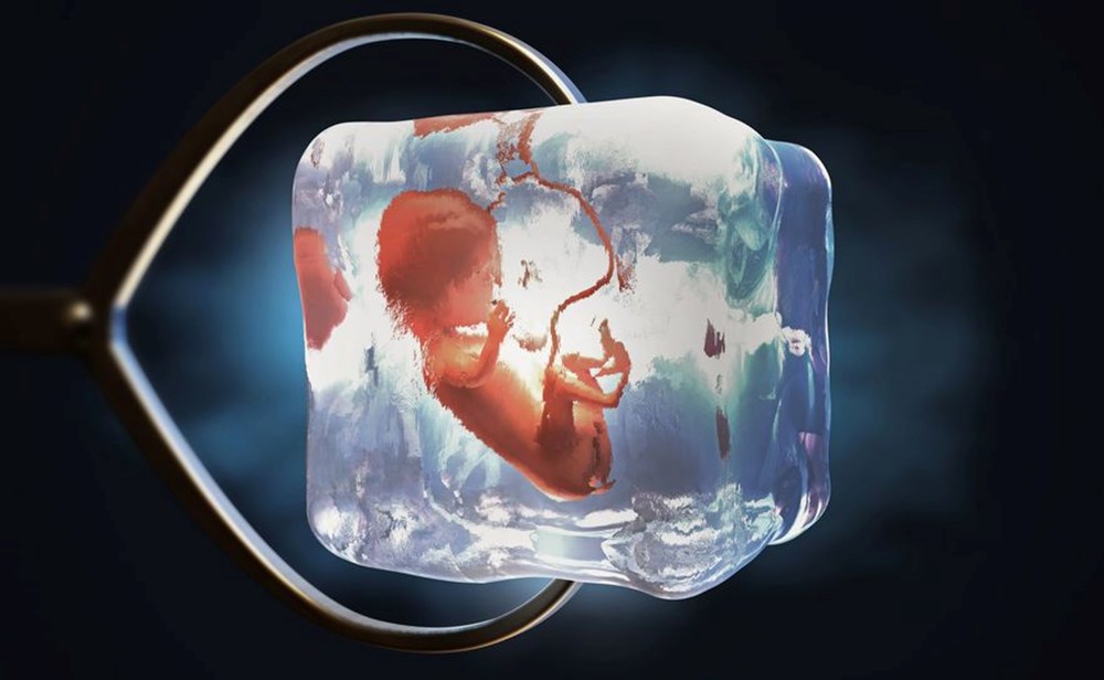 30 yıl önce dondurulan embriyolardan çocuk sahibi oldular - 4