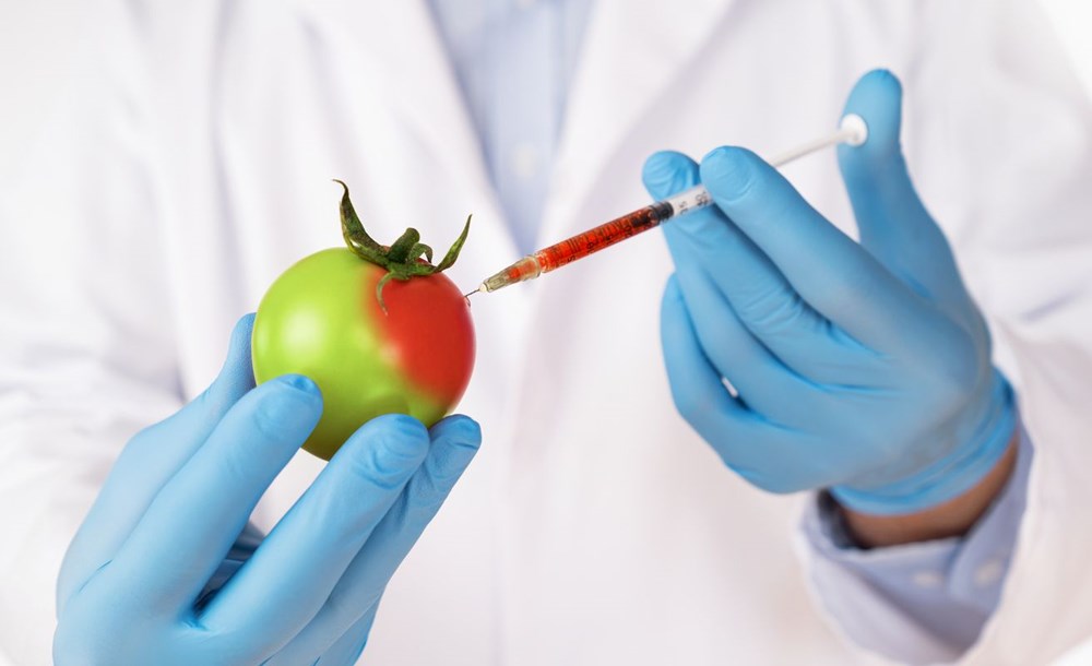 Kanseri önleyen ekmekten, tansiyon düşüren domatese: Genetiği değiştirilmiş gıdalar insanlığın geleceğini kurtarabilir mi? - 10