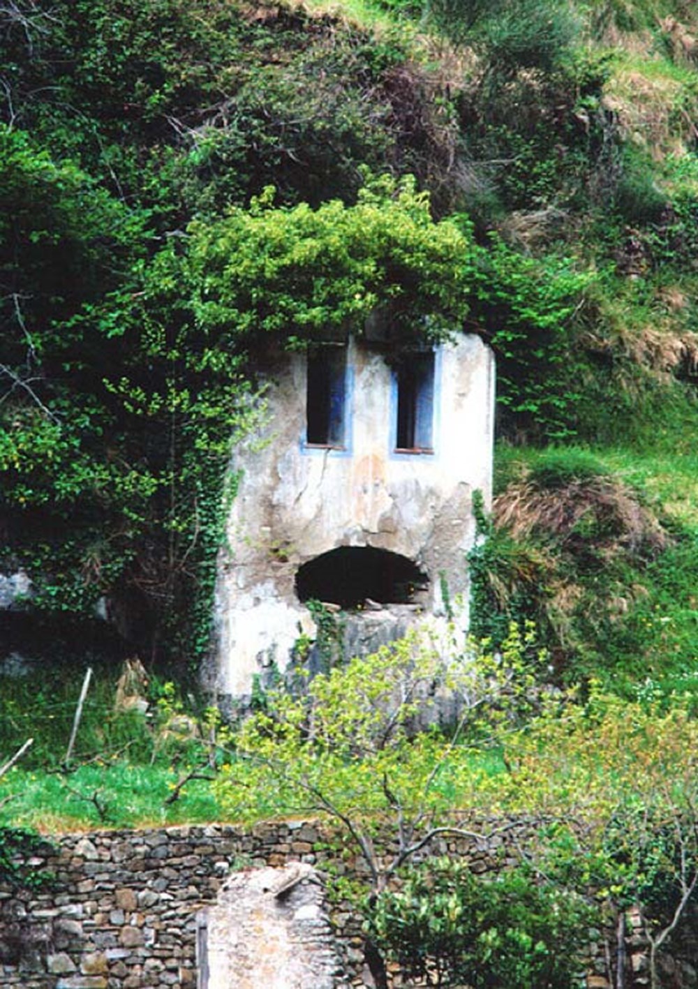 Кибела маскарон. Лицо дома. Фальшивые окна на фасаде. Необычные окна на фасаде. Как называется лицо дома.