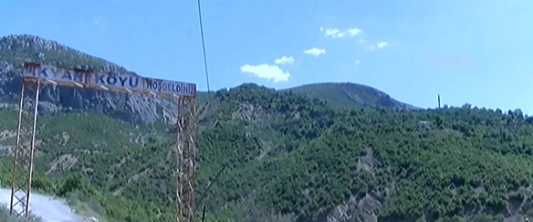 www.ntv.com.tr