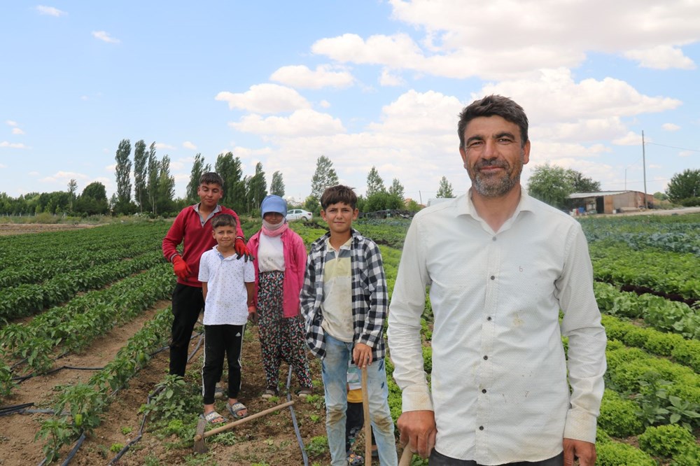 Mevsimlik işçilerin zorlu mücadelesi: Yüksek sıcaklığa rağmen çalışıyorlar - 6
