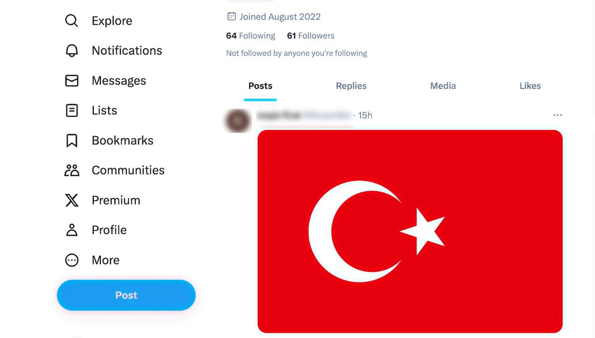 Terör propagandası yapan kadın, 1 ay boyunca Türk bayrağı paylaşacak