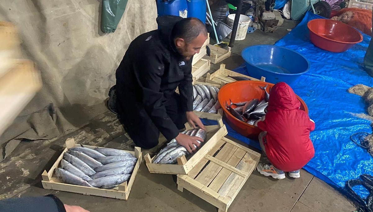 Bolluk yaşandı: Bir gecede 3 bin 200 adet avladılar