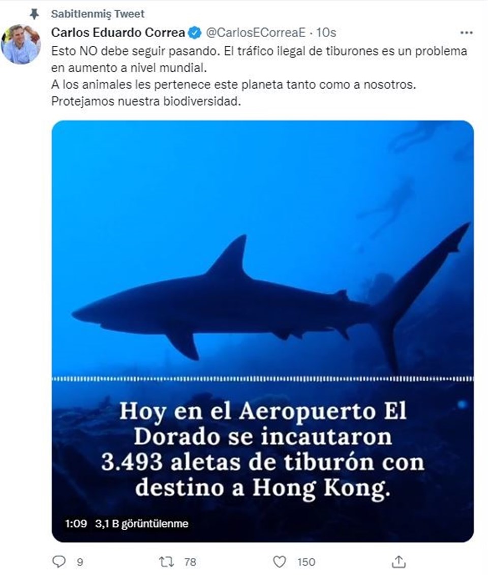 Kolombiya’da 3 bin 493 köpekbalığı yüzgecine el konuldu - 1
