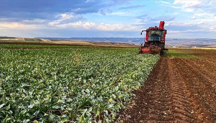 AB, çiftçilere avans ödemelerini artırdı