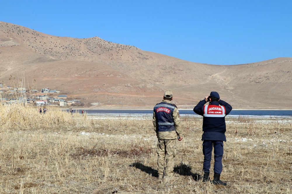Jandarmanın kuğu nöbeti: Nesilleri tehlike altında - 2