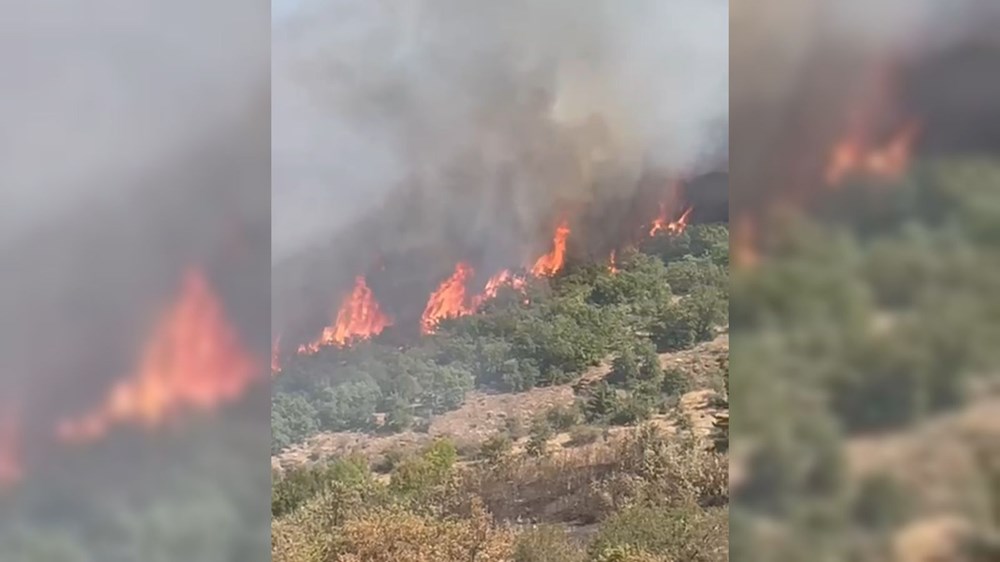 Çanakkale ve Muğla'da orman yangını: Gelibolu'da alevler büyük ölçüde kontrol altında - 10