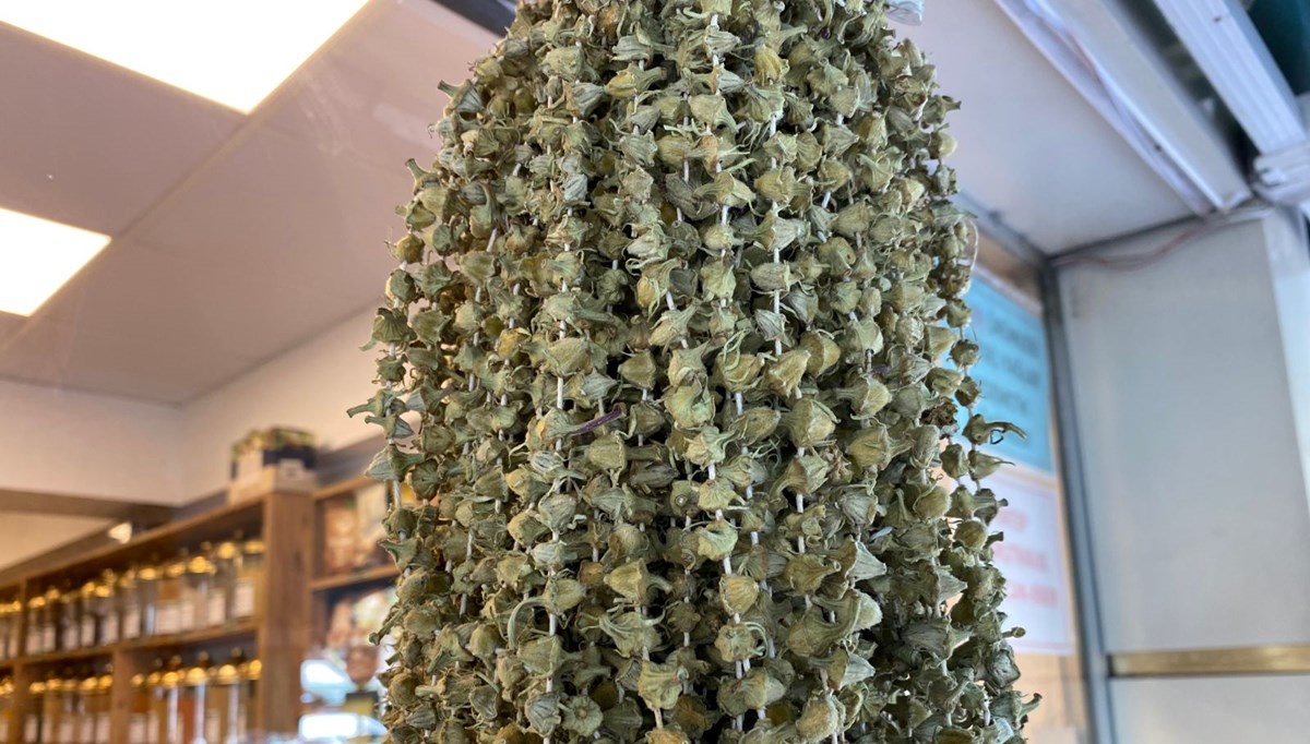 Kış aylarının favorisi: Fiyatı gram altınla yarışıyor