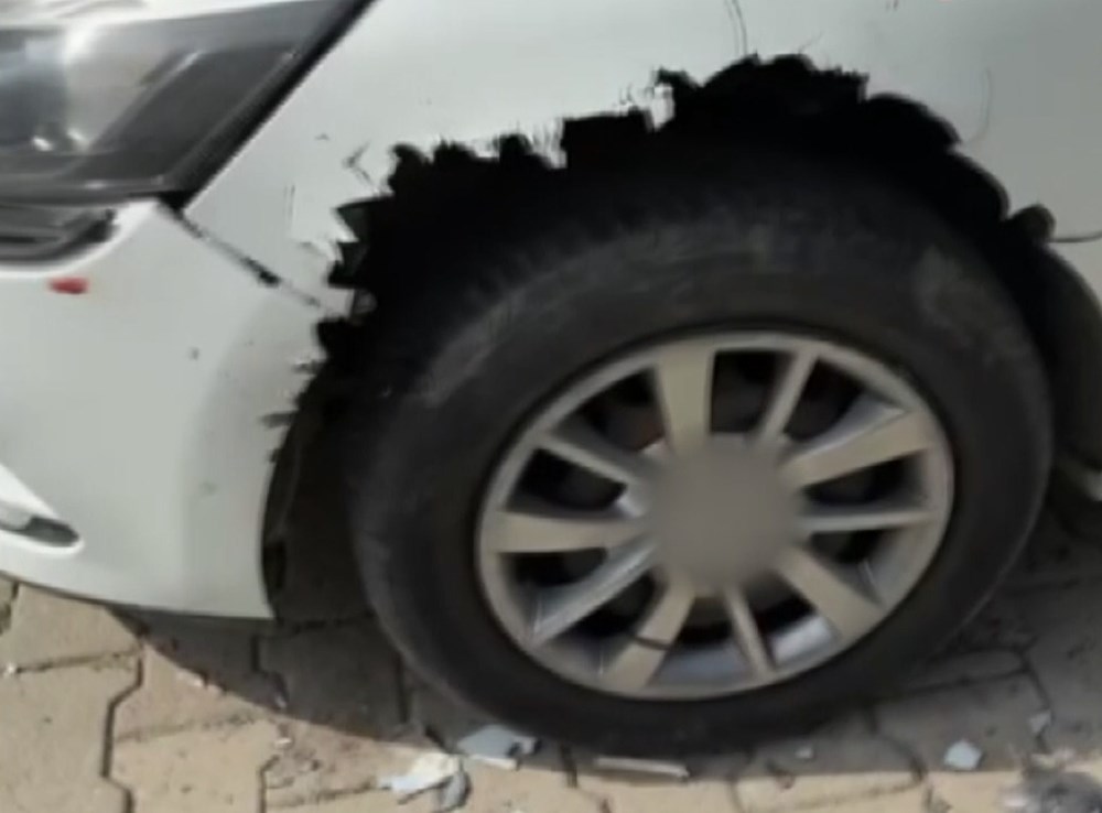 Sokak Köpekleri Araba Canavarına Dönüştü: Mağdur Belediyeye Tazminat Davası Açtı 74 BLqt3NUKzk