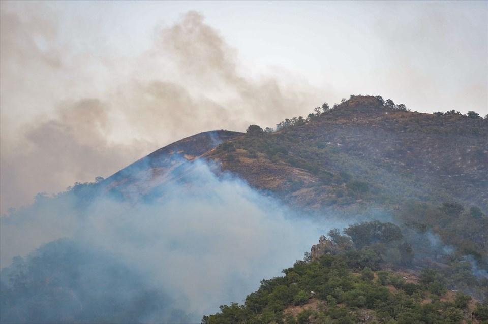 Tunceli ve Bingöl'de orman yangını - 2