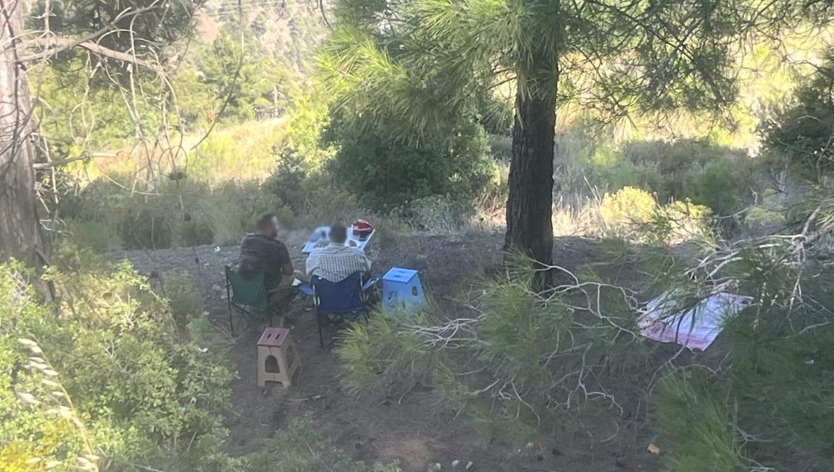 Ormanda pikniğe para cezası