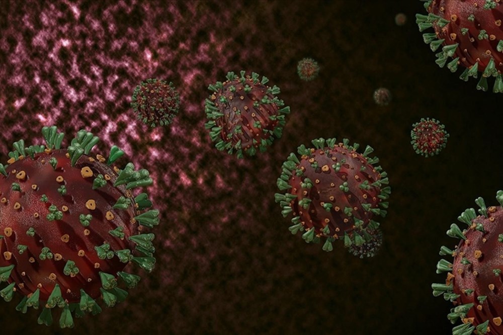 Mutasyonlu corona virüs aşıya dayanıklı hale gelirse ne olacak? - 9