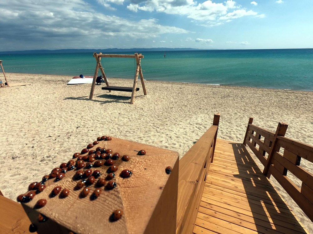 Saros Körfezi'nde uğur böceği istilası - 2