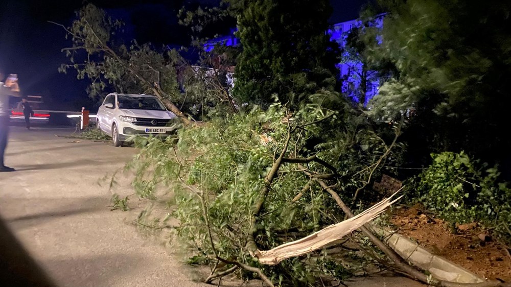 Artvin'i fırtına vurdu: Çatılar uçtu, ağaçlar devrildi - 1