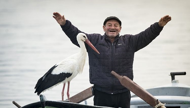 Doğa fotoğrafçısı Alper Tüydeş'den açıklama: Yaren Leylek geldi mi? Yaren'in yuvası 7/24 canlı yayınla izlenebiliyor