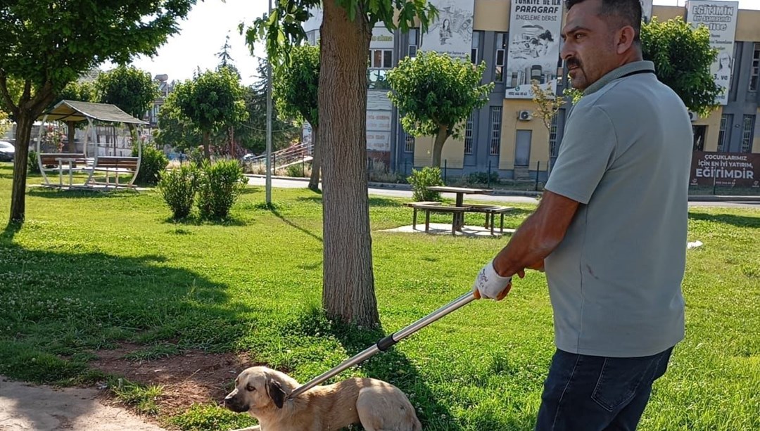 Kuduz köpek ısırınca karantinaya alındı