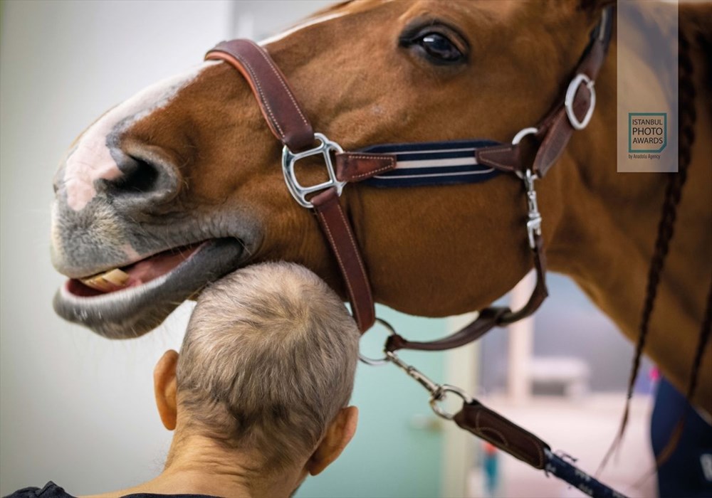 Istanbul Photo Awards 2021 kazananları açıklandı - 72