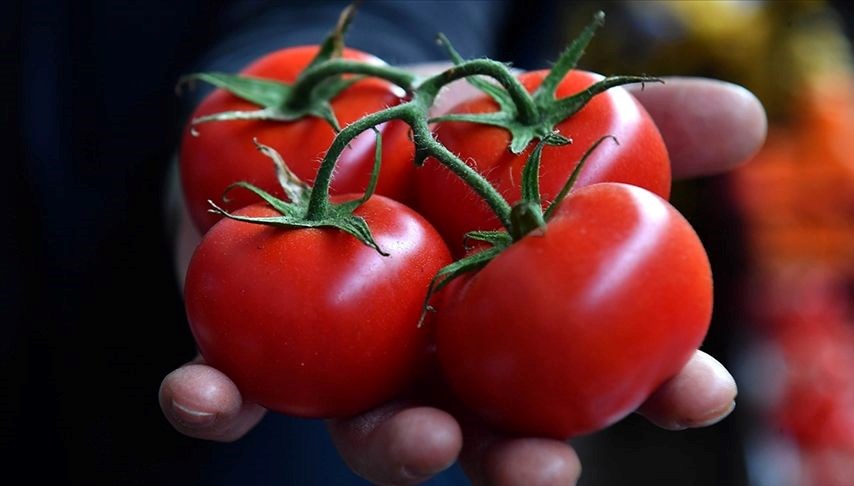 Domates üreticisinden vatandaşa çağrı